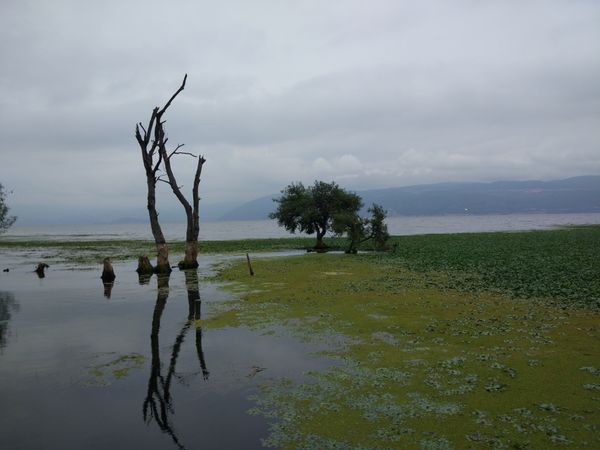 Dali, China